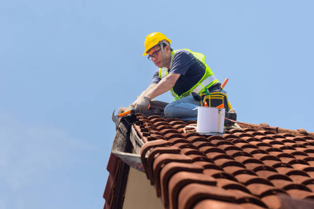 Best 4 Ply Roofing  in Warm Mineral Springs, FL